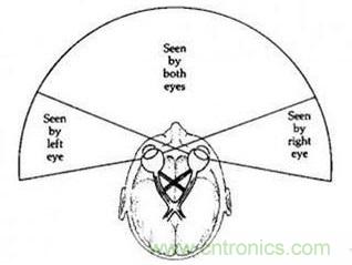 雙目重疊技術(shù)在VR中有什么作用？